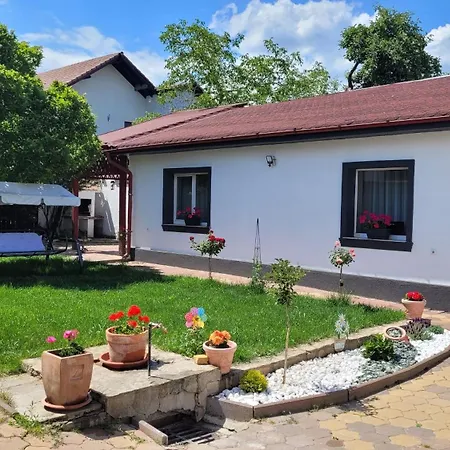 Aristocratic Casa de Férias Braşov